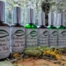 Orange and Cinnamon Moisturising body oil 100% natural
